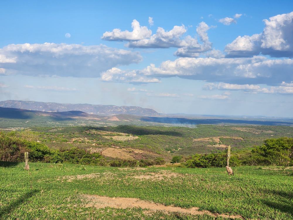 Colinas verdes com serra ao fundo e um bode