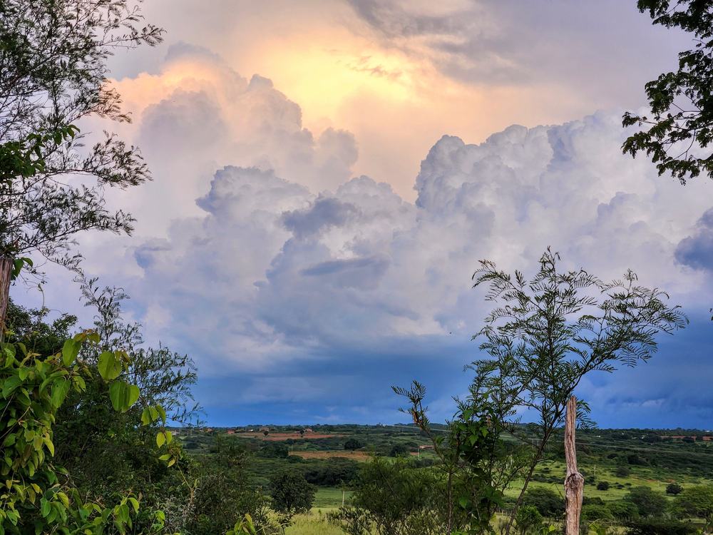 Nuvens douradas ao entardecer sobre a vegetação